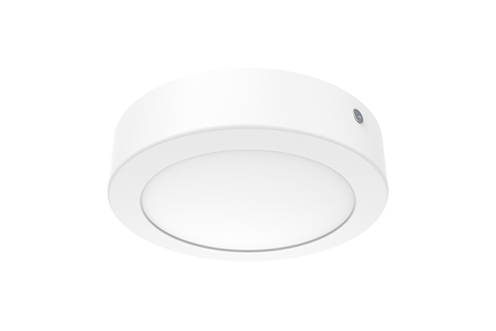 downlightnw